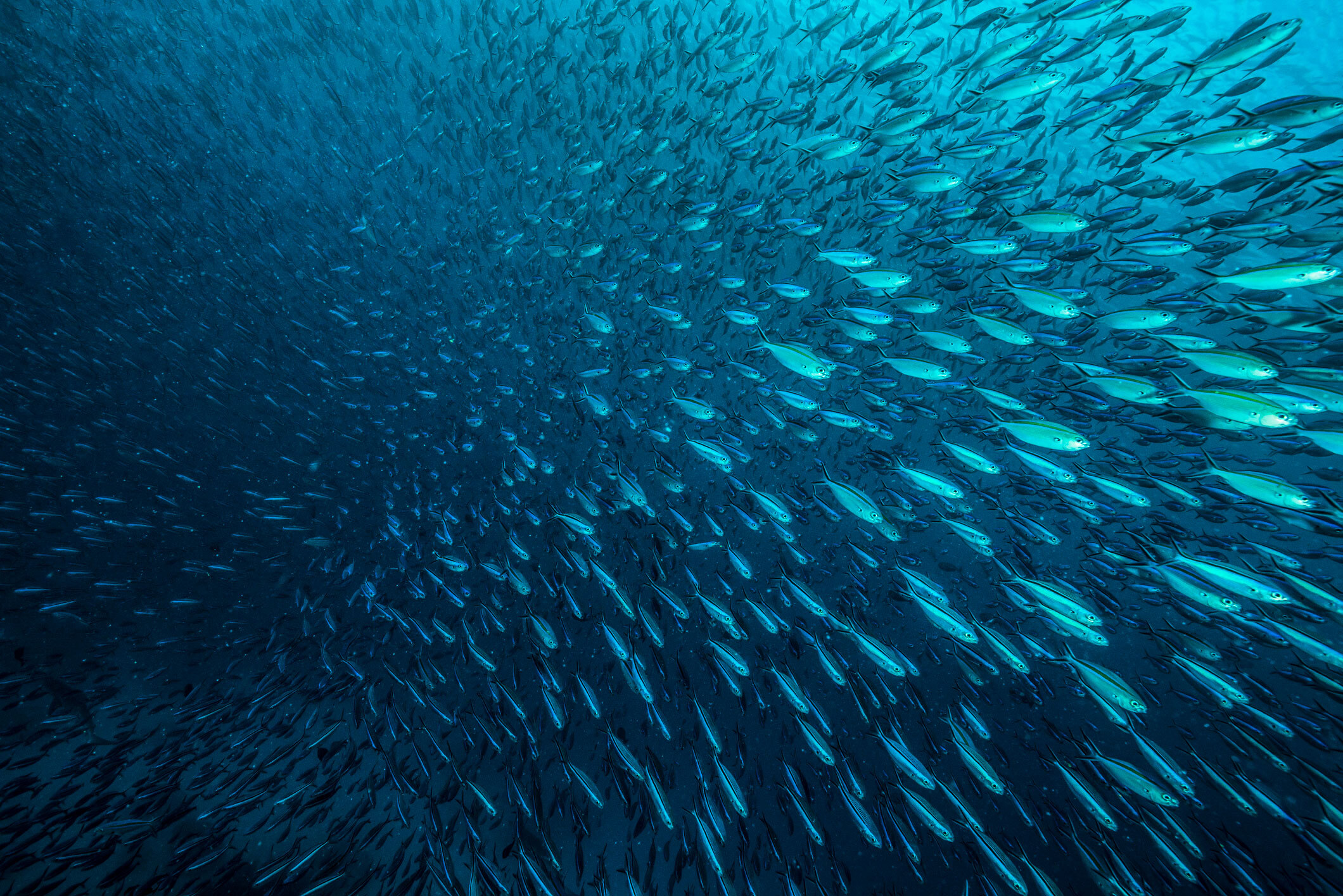 I Stock 473243634 web